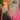 GRIZZLY BEAR - VECKATIMEST