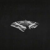 To Pimp a Butterfly 10th Anniversary