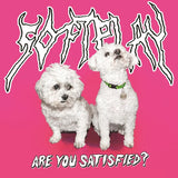 Are You Satisfied?