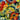 Adrianne Lenker - Songs and Instrumentals