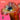 Various Artists Feat. Shygirl - Fabric Presents Shygirl