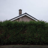 Still..At Their Very Best (Live From The AO Arena Manchester 17.02.24)