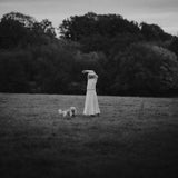 Dinked 343 - On The Wing