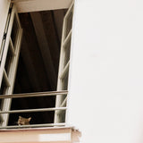 Dinked 334 - Something Soft