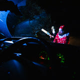 Dinked 322 - Fun’s Over