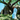 Ravyn Lenae - Blue Island