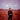 Ed Harcourt - El Magnifico - Dinked 273